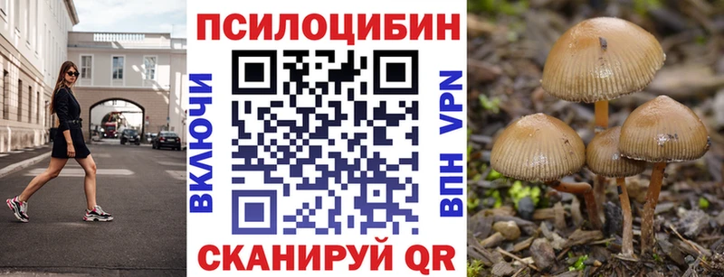 Галлюциногенные грибы ЛСД  Краснозаводск 